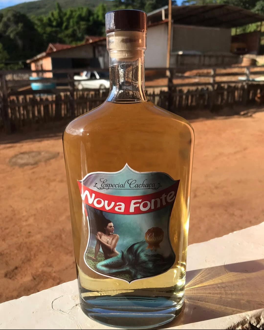 Garrafa da Cachaça Nova Fonte